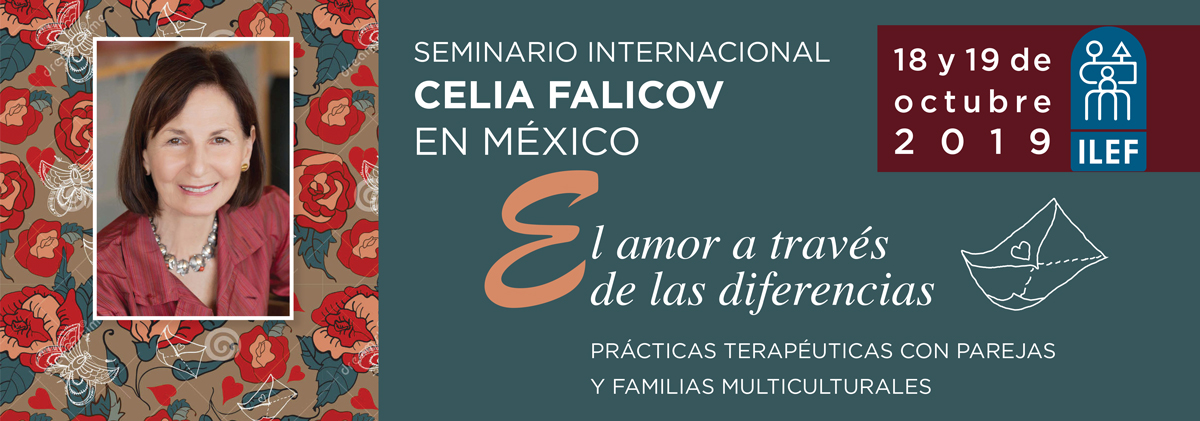 pagSeminario-Cecilia-Falicov